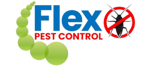 flex removebg preview